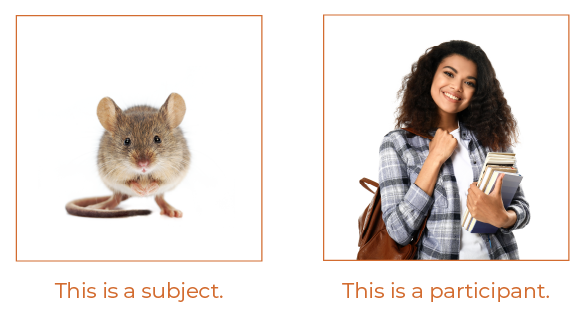 A picture of a mouse with the label 'this is a subject' next to a picture of a college student with the label 'this is a participant'