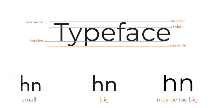 a diagram showing the x-height of a typeface