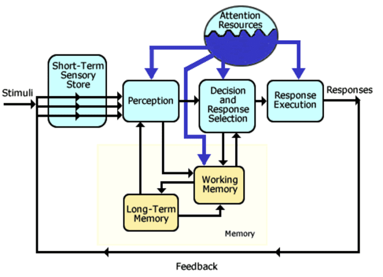 Working Memory and Attentional Resources in Human Factors - Research ...